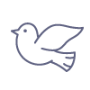 learn_bird_new learn_bird_new